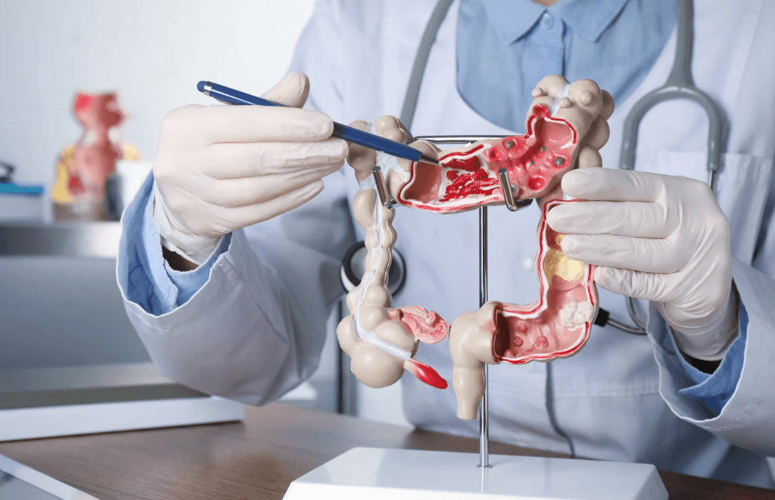 Gastroenterology